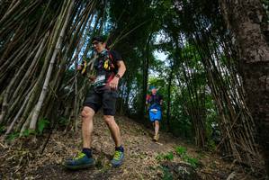 BIB: 
                            <button type="button" onclick="openModal(19395734)" class="btn btn-primary btn-sm float-right btn-popup" data-toggle="modal" data-target=".modal-high-quality">
                        <i class="fas fa-shopping-cart"></i> Add to Cart
                    </button>
                                            <button type="button" onclick="isThisMe(19395734, true)" class="btn btn-success btn-sm float-right btn-popup btn-isme hidden" data-toggle="tooltip" data-placement="bottom" title="นี่คือรูปของคุณใช่ไหม คลิกที่นี่เพื่อเอาเข้าอัลบั้ม">
                        <i class="fas fa-plus"></i> Add to album
                    </button>
                    <button type="button" onclick="isThisMe(19395734, false)" class="btn btn-warning btn-sm float-right btn-popup btn-isnotme hidden">
                        <i class="fas fa-ban"></i> Remove from album
                    </button>